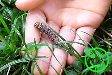 was soll ich schenken geburtstag